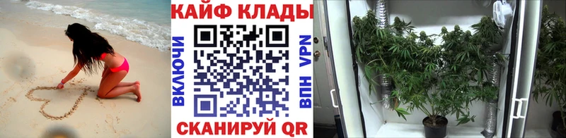Где продают наркотики Моздок Вейп ТГК Бошки Шишки A PVP ГАШИШ Мефедрон Кокаин