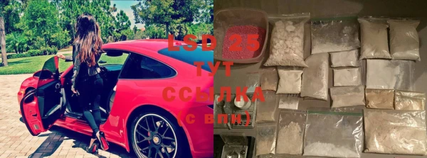 дмт Аркадак