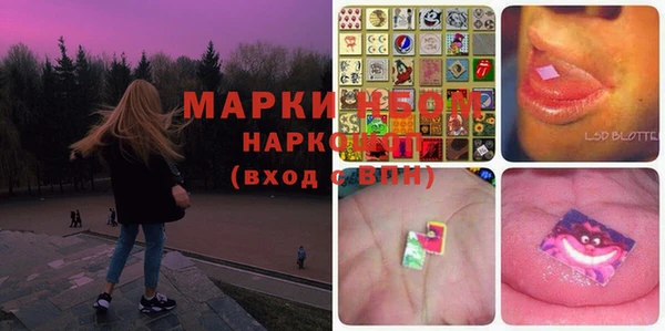дмт Аркадак