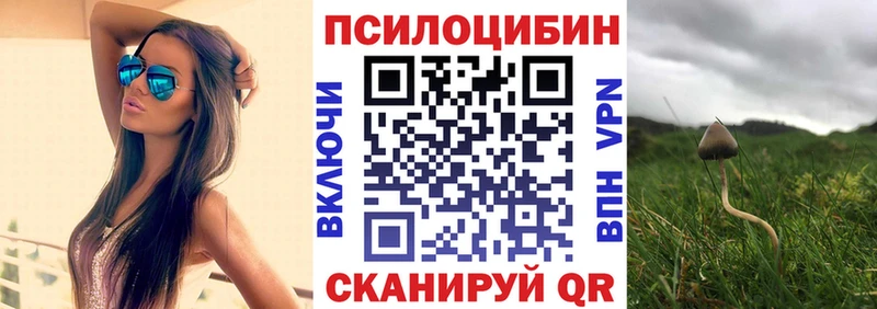 Псилоцибиновые грибы ЛСД  Моздок 