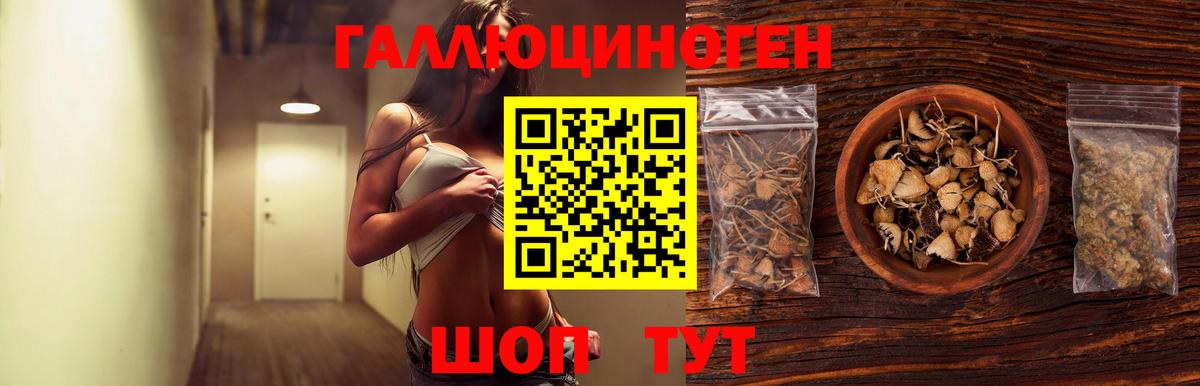 Моздок  Псилоцибиновые грибы ЛСД  Вход с VPN 